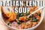 Italian Lentil Soup The Cheap Easy and Delicious Soup